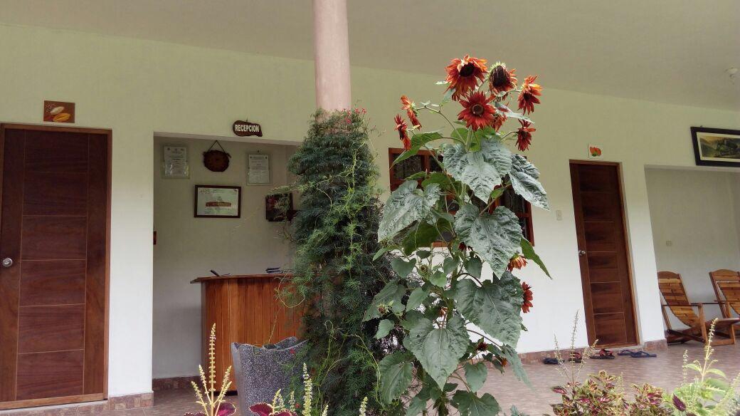 El Mangal Hostel Maranura Zewnętrze zdjęcie